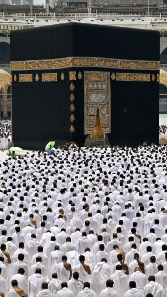 And Seek Help In Patience And Prayers Status