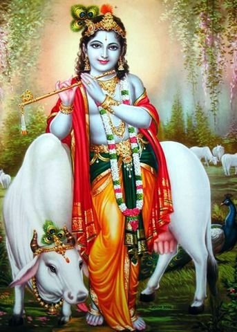 Bhagwan Shri Krishan Standing With Cow Photo