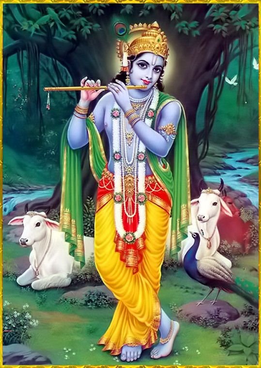 Lord Krishanji Picture