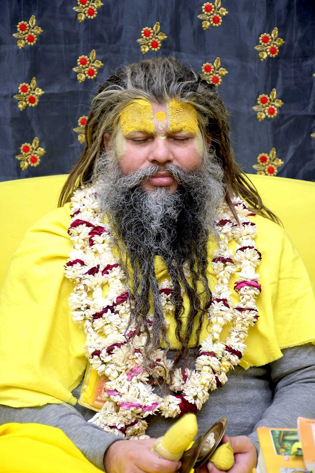 Shri Hit Premanand Govind Sharan Maharaj Photo