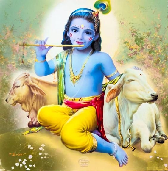 Shri Krishan Sitting With Cows Photo